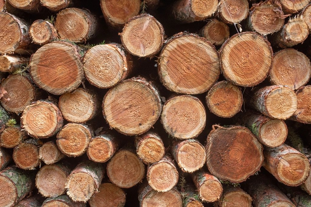 timber-stacked-logs.jpg