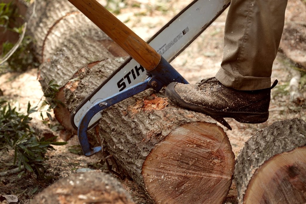 work-felling-chainsaw.jpg