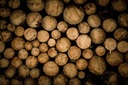 timber-log-ends-dark.jpg