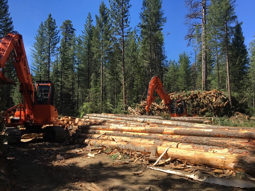work-log-yard-excavators.jpg