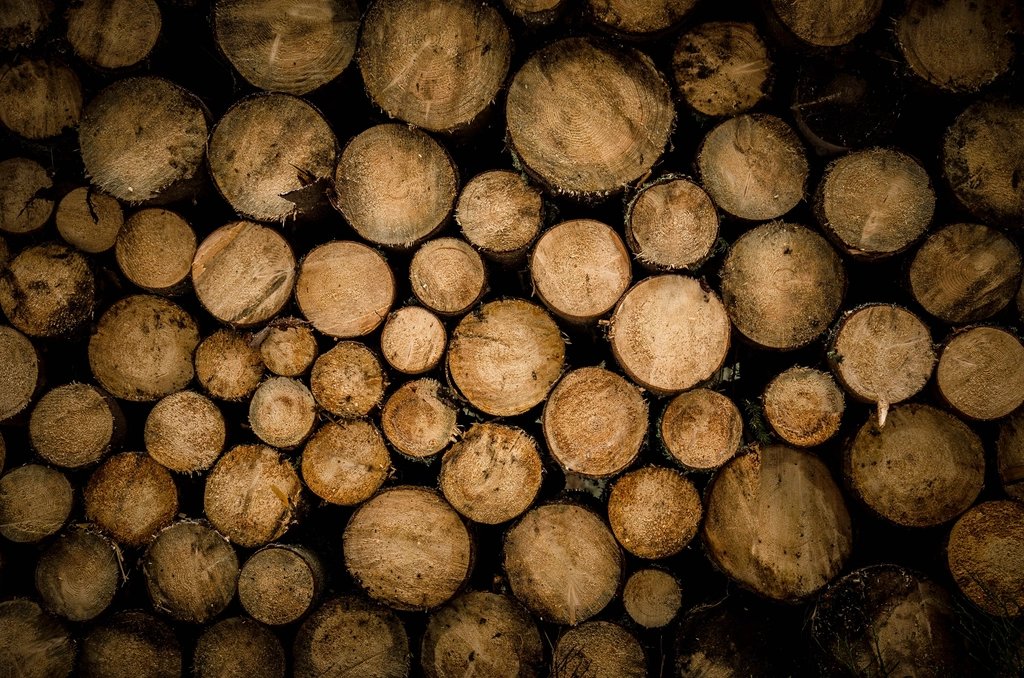 timber-log-ends-dark.jpg