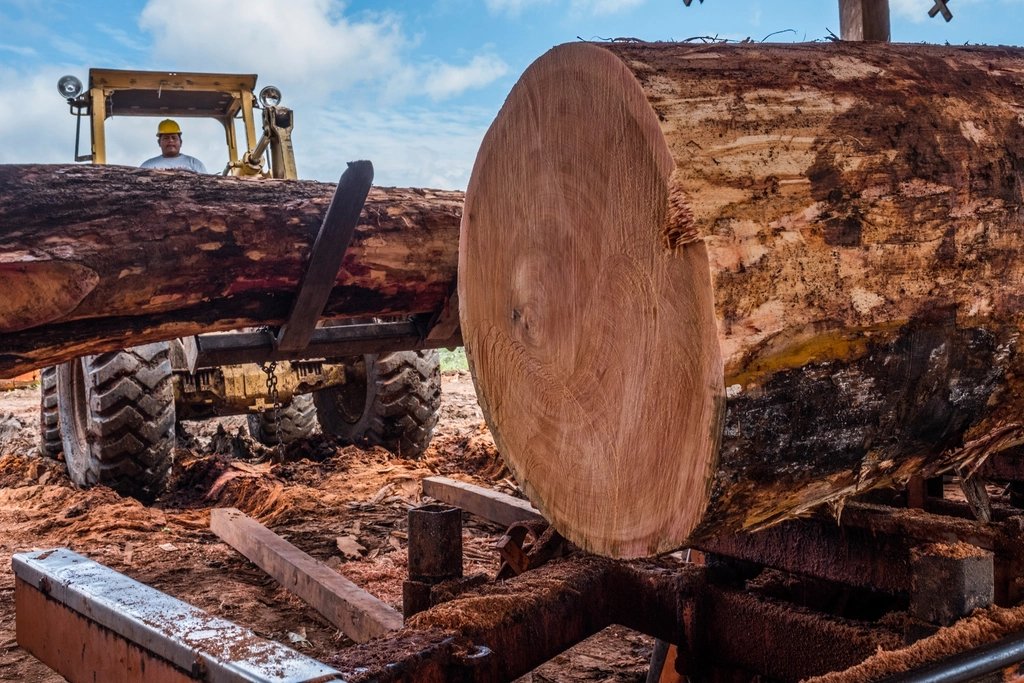 Cypress Rough Sawn Board 25 × 225 mm