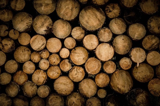 [SAMPLE-08] Hardwood Rounds 400–500 mm